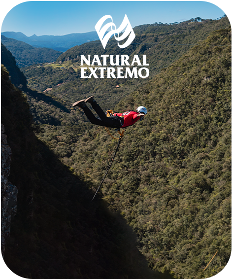 Salto de Pêndulo