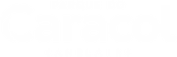 Logo Destinow